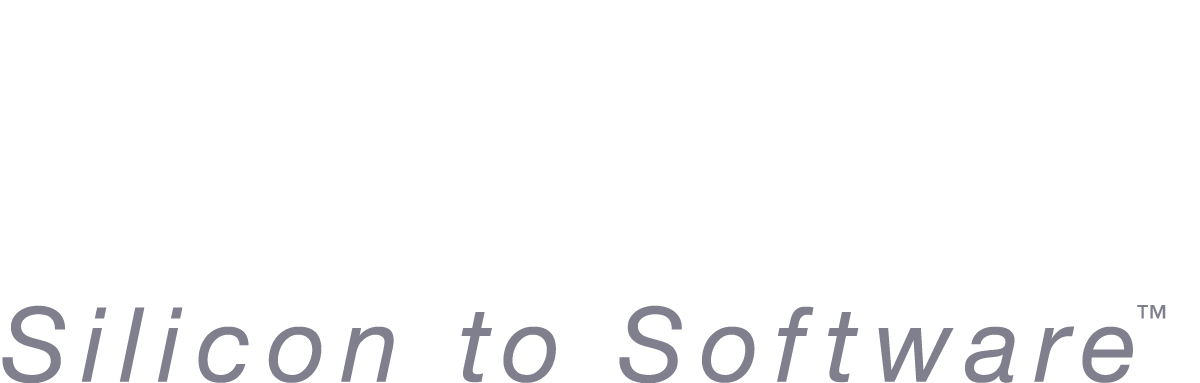 snps-logo-sts-white-grey