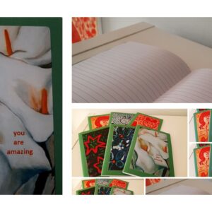 Caderno Lírios da Paz